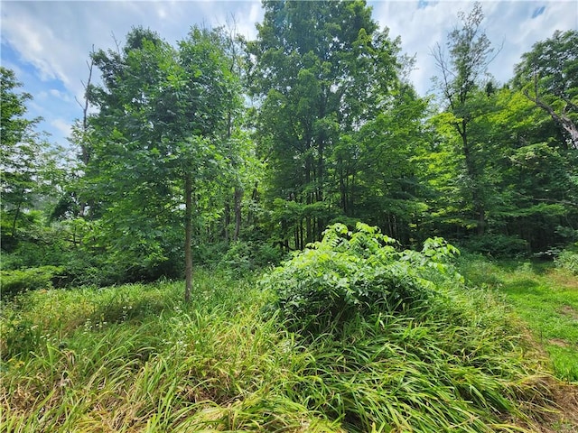 00 Hulberton Rd, Murray, NY 14470 - photo 17