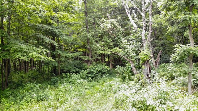 00 Hulberton Rd, Murray, NY 14470 - photo 18