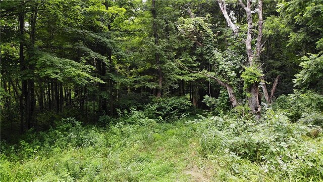 00 Hulberton Rd, Murray, NY 14470 - photo 19