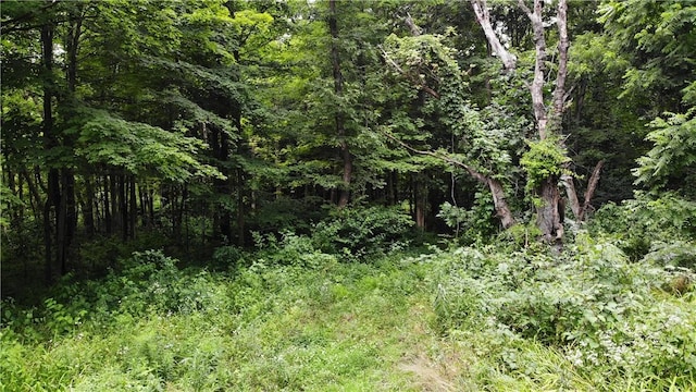 00 Hulberton Rd, Murray, NY 14470 - photo 20