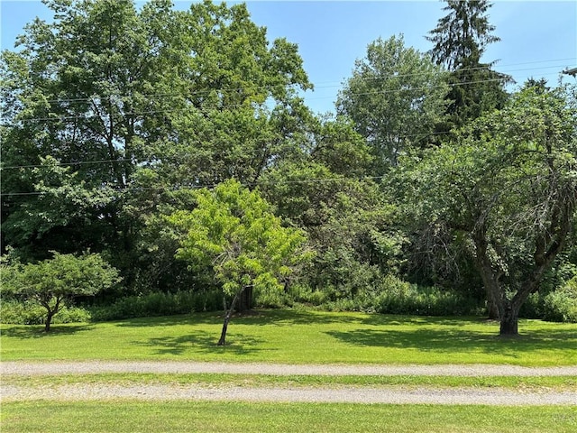 3 Erickson Dr, Mount Jewett Boro, PA 16740 - photo 21