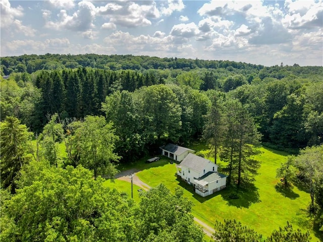 3 Erickson Dr, Mount Jewett Boro, PA 16740 - photo 26