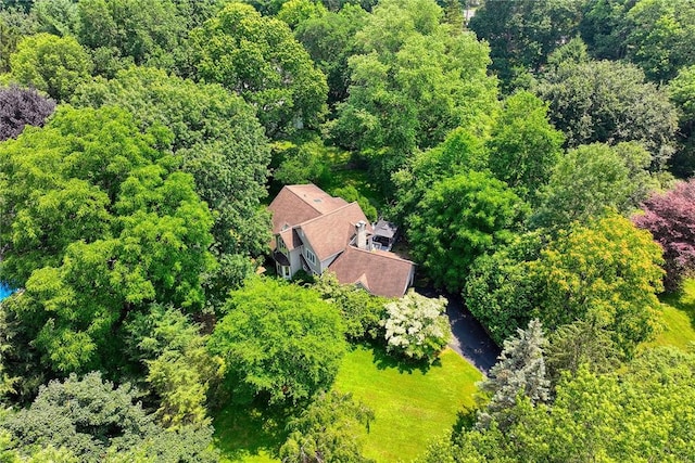 46 Green Valley Rd, Perinton, NY 14534 - photo 47