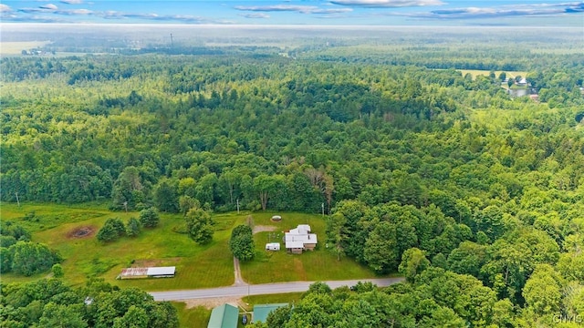 581 Cc Rd, Williamstown, NY 13302 - photo 3
