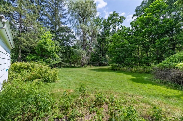 222 Long Meadow Cir, Pittsford, NY 14534 - photo 39