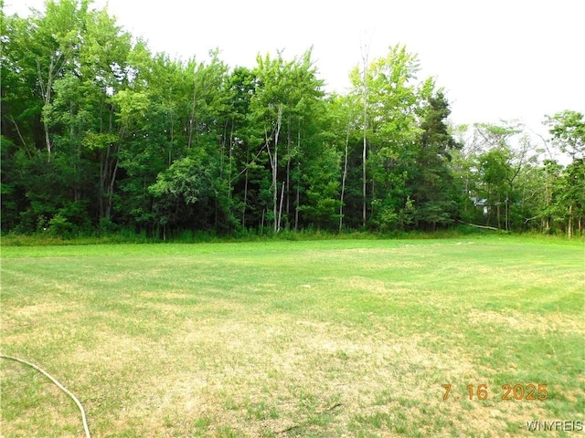 6688 Southwestern Blvd, Hamburg, NY 14085 - photo 21