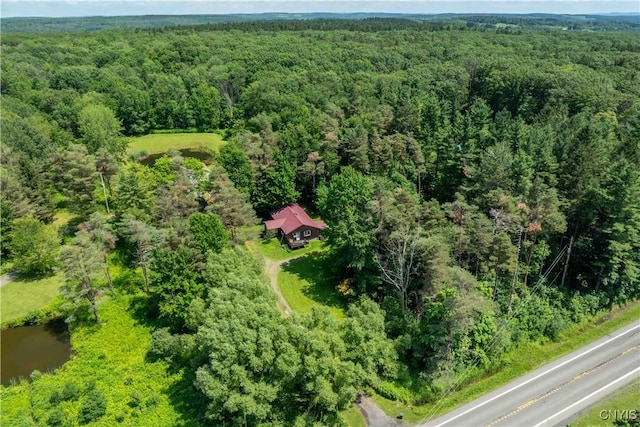 2846 State Route 41a, Sempronius, NY 13118 - photo 2