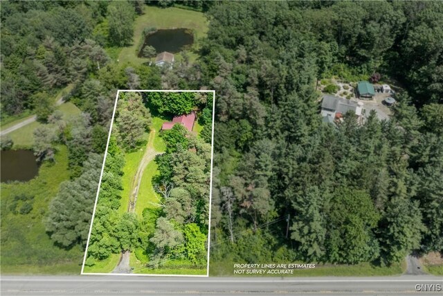2846 State Route 41a, Sempronius, NY 13118 - photo 30