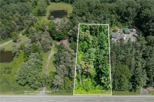 2846 State Route 41a, Sempronius, NY 13118 - photo 29