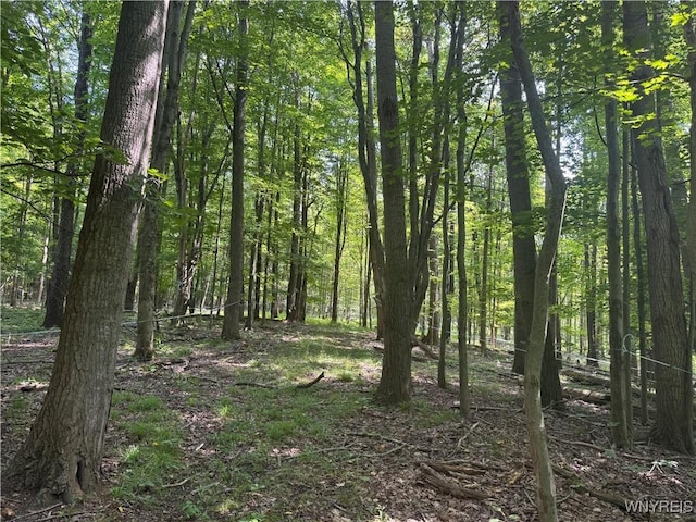 770 W Falls Rd, Aurora, NY 14170 - photo 7