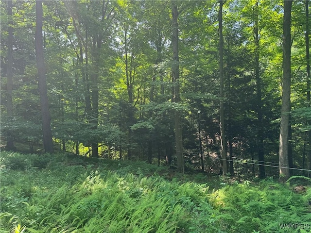 770 W Falls Rd, Aurora, NY 14170 - photo 8