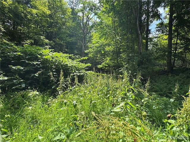 770 W Falls Rd, Aurora, NY 14170 - photo 14