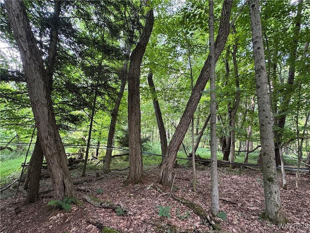 770 W Falls Rd, Aurora, NY 14170 - photo 15