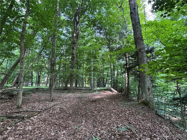 770 W Falls Rd, Aurora, NY 14170 - photo 16