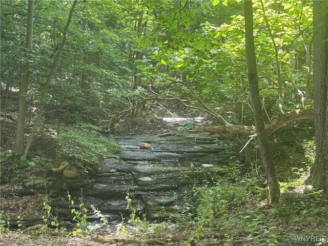 770 W Falls Rd, Aurora, NY 14170 - photo 20