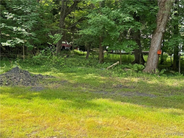 770 W Falls Rd, Aurora, NY 14170 - photo 2