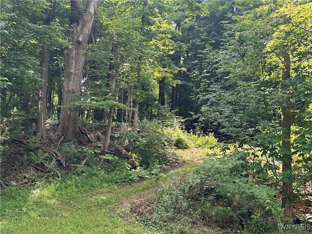 770 W Falls Rd, Aurora, NY 14170 - photo 3
