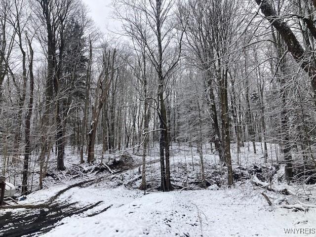 770 W Falls Rd, Aurora, NY 14170 - photo 21