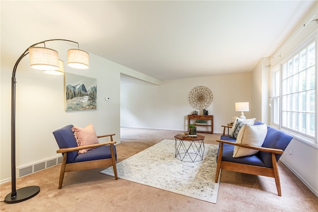 63 Gate House Trl, Henrietta, NY 14467 - photo 6