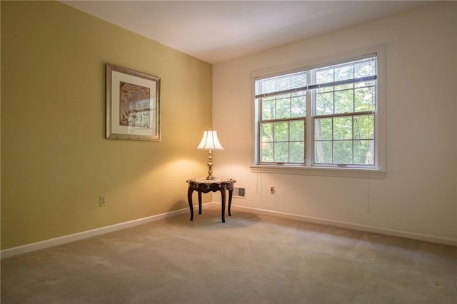 163 Heatherstone Ln, Brighton, NY 14618 - photo 33