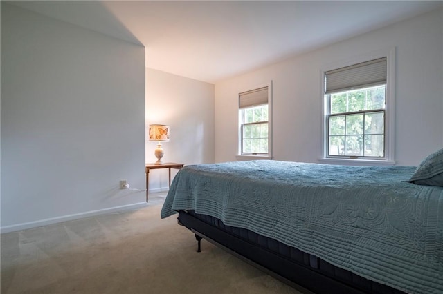 163 Heatherstone Ln, Brighton, NY 14618 - photo 36