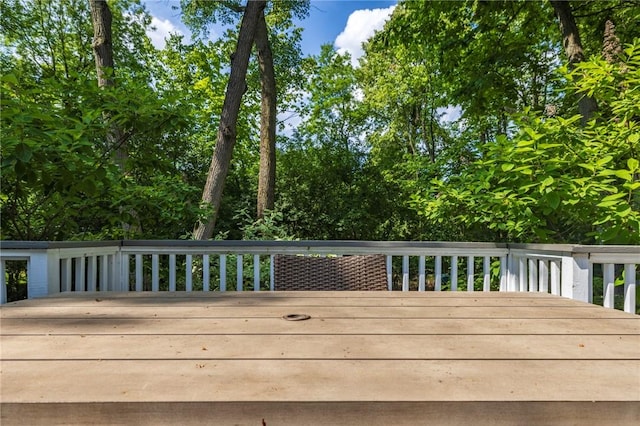 163 Heatherstone Ln, Brighton, NY 14618 - photo 45