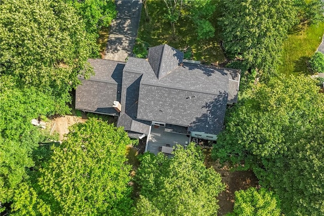 163 Heatherstone Ln, Brighton, NY 14618 - photo 48