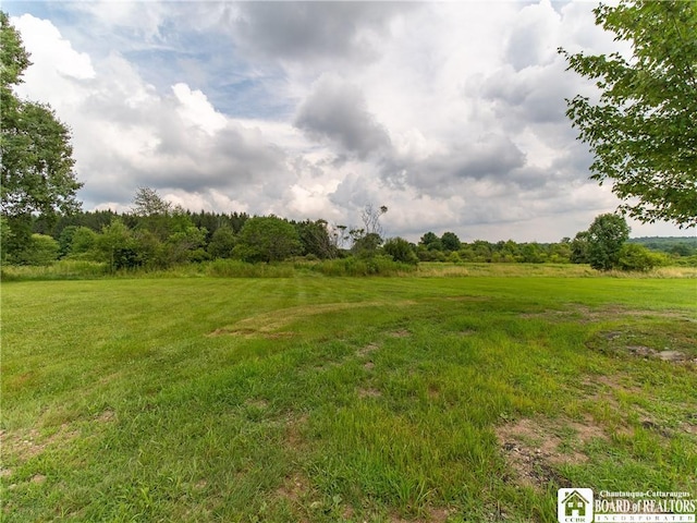 4312 Cobb Rd, Gerry, NY 14740 - photo 39