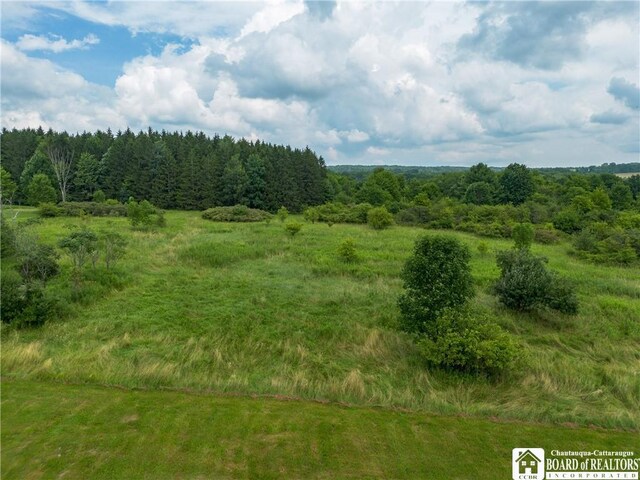 4312 Cobb Rd, Gerry, NY 14740 - photo 40