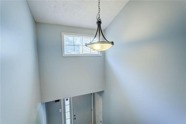 8 Le Marc Ct, Brighton, NY 14618 - photo 23