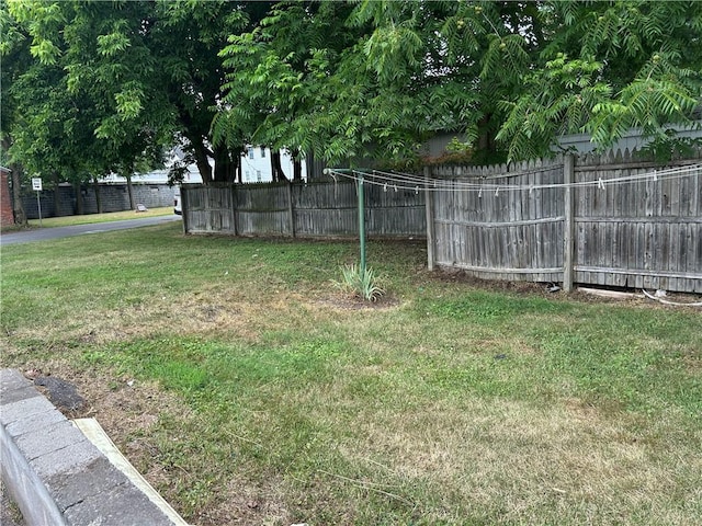 111 Lewis St, Geneva City, NY 14456 - photo 30