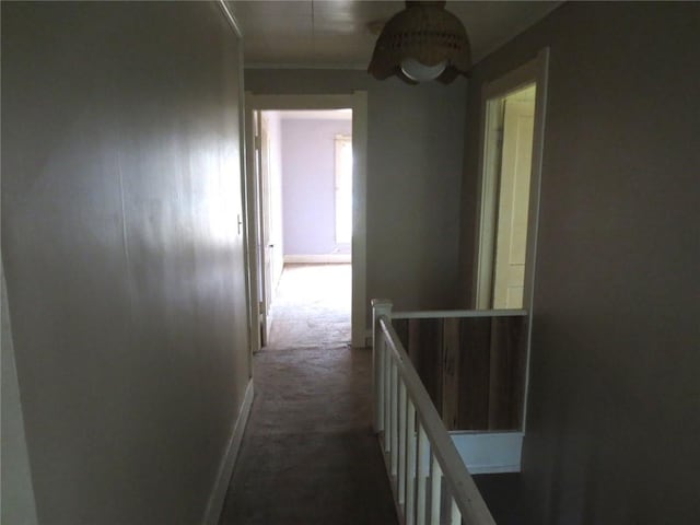 205 Madison St, Arcadia, NY 14513 - photo 10