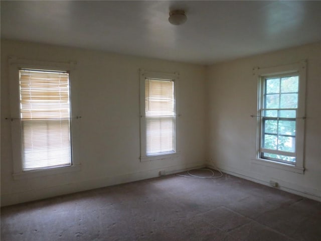 205 Madison St, Arcadia, NY 14513 - photo 11