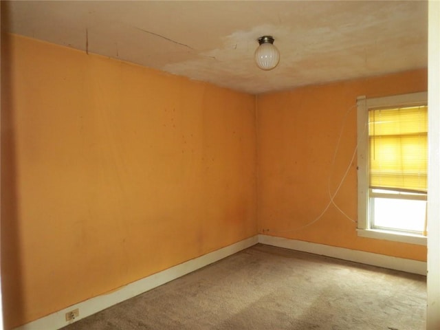 205 Madison St, Arcadia, NY 14513 - photo 13