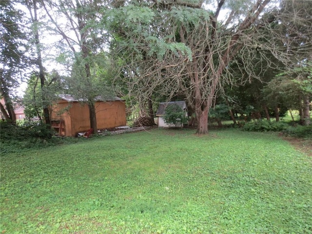 205 Madison St, Arcadia, NY 14513 - photo 18