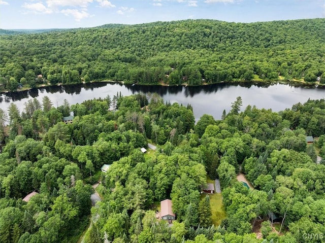 105 Adota Rd, Webb, NY 13472 - photo 9