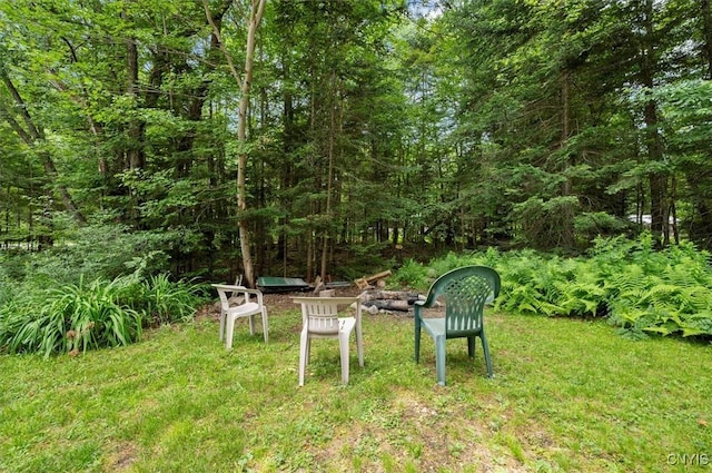 105 Adota Rd, Webb, NY 13472 - photo 36