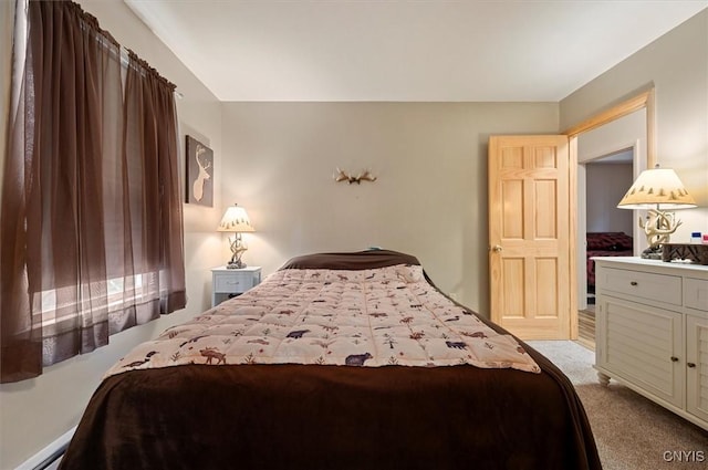 105 Adota Rd, Webb, NY 13472 - photo 29
