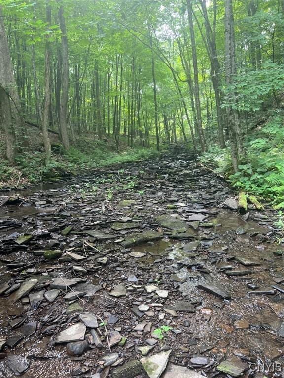 764 N Church Rd, Boylston, NY 13083 - photo 43