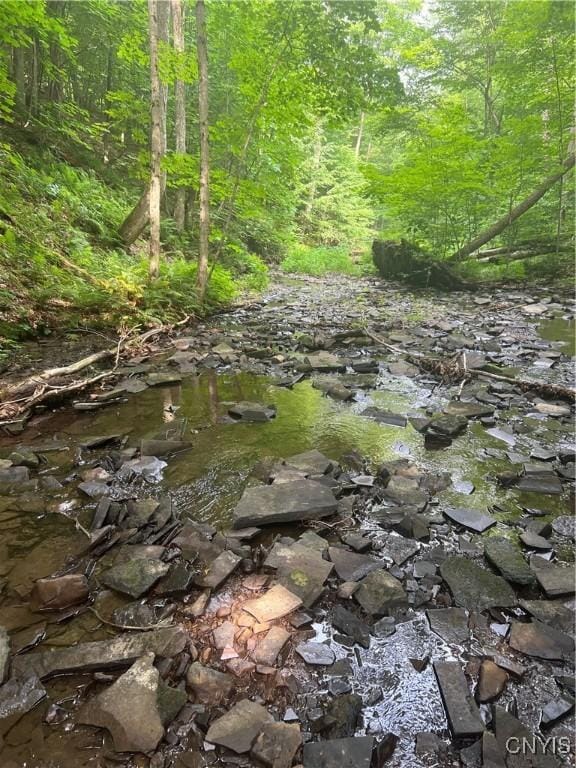 764 N Church Rd, Boylston, NY 13083 - photo 11