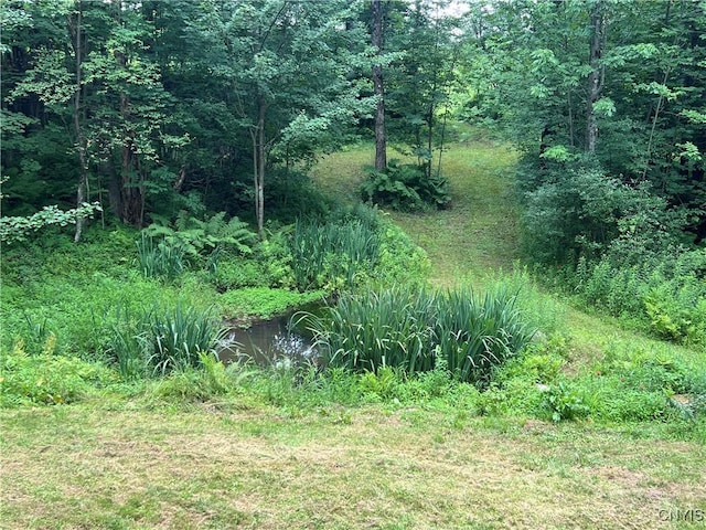 764 N Church Rd, Boylston, NY 13083 - photo 14
