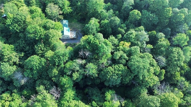764 N Church Rd, Boylston, NY 13083 - photo 15