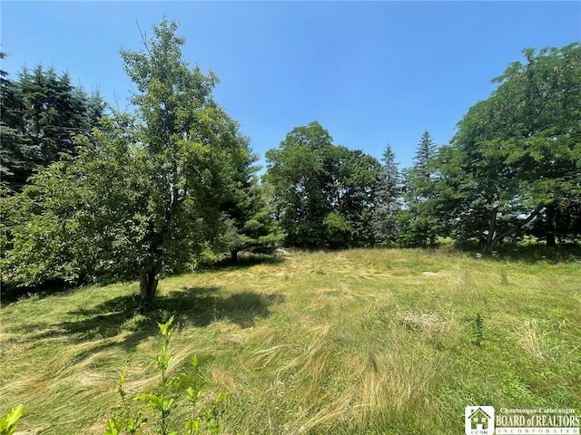 2567 Bowen Rd, Randolph, NY 14747 - photo 10