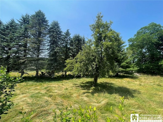 2567 Bowen Rd, Randolph, NY 14747 - photo 11