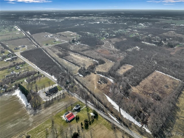 Barnum Rd, Newstead, NY 14001 - photo 6
