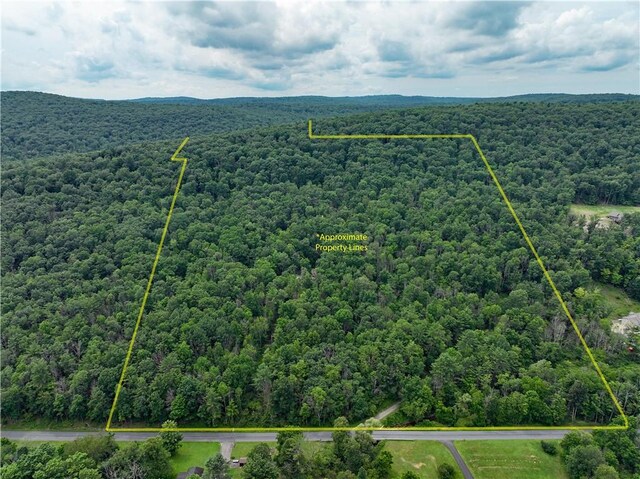 121BREEDHOLLOW Breed Hollow Rd, Big Flats, NY 14845 - photo 36
