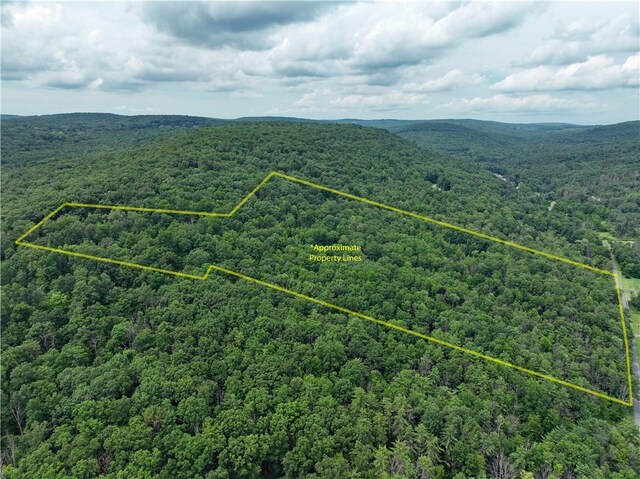 121BREEDHOLLOW Breed Hollow Rd, Big Flats, NY 14845 - photo 9