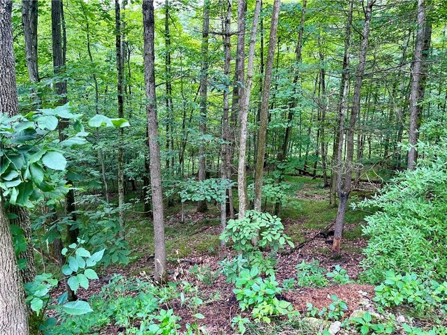 121BREEDHOLLOW Breed Hollow Rd, Big Flats, NY 14845 - photo 39