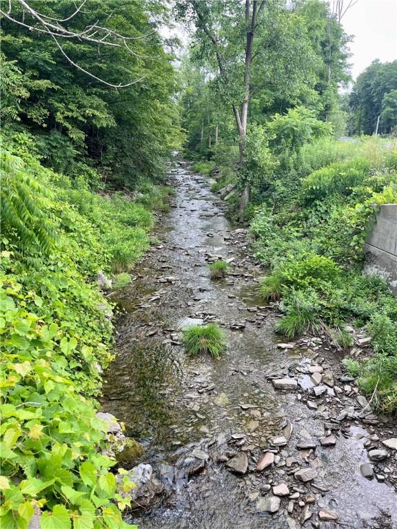 121BREEDHOLLOW Breed Hollow Rd, Big Flats, NY 14845 - photo 38