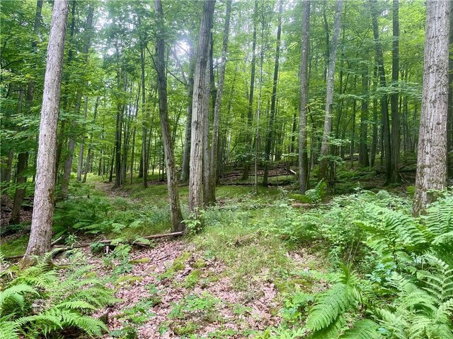 121BREEDHOLLOW Breed Hollow Rd, Big Flats, NY 14845 - photo 40